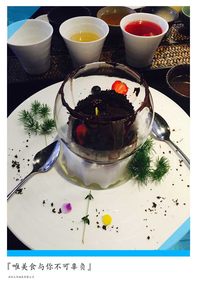 2015年第十二屆上海模型展，大華參展！